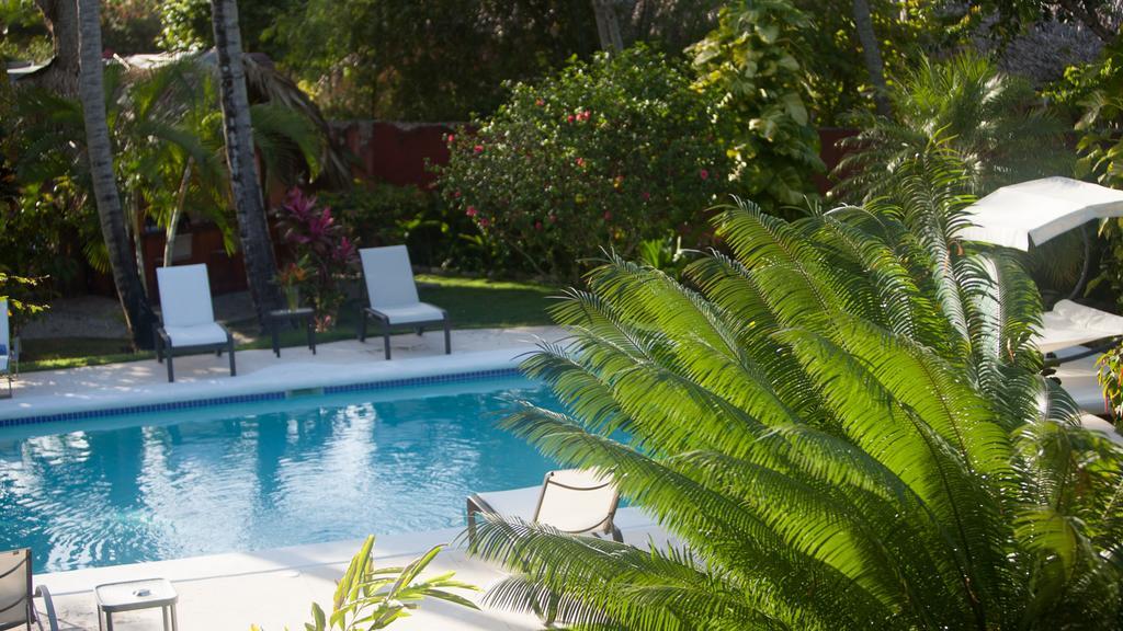 Eva Luna Villas Las Terrenas Exterior photo